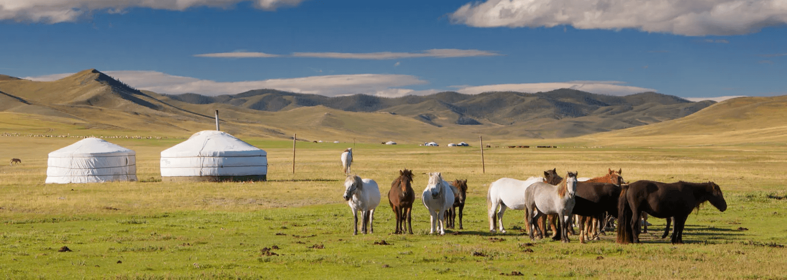 démographie de la Mongolie