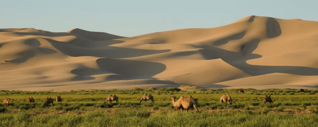 Dunes de Khongoryn Els